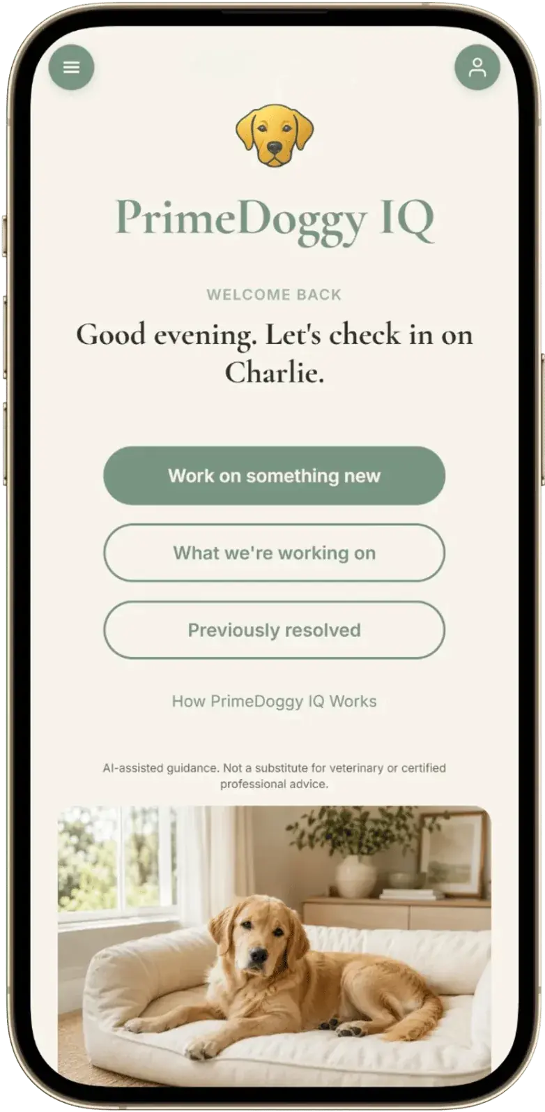 PrimeDoggy IQ app session screen