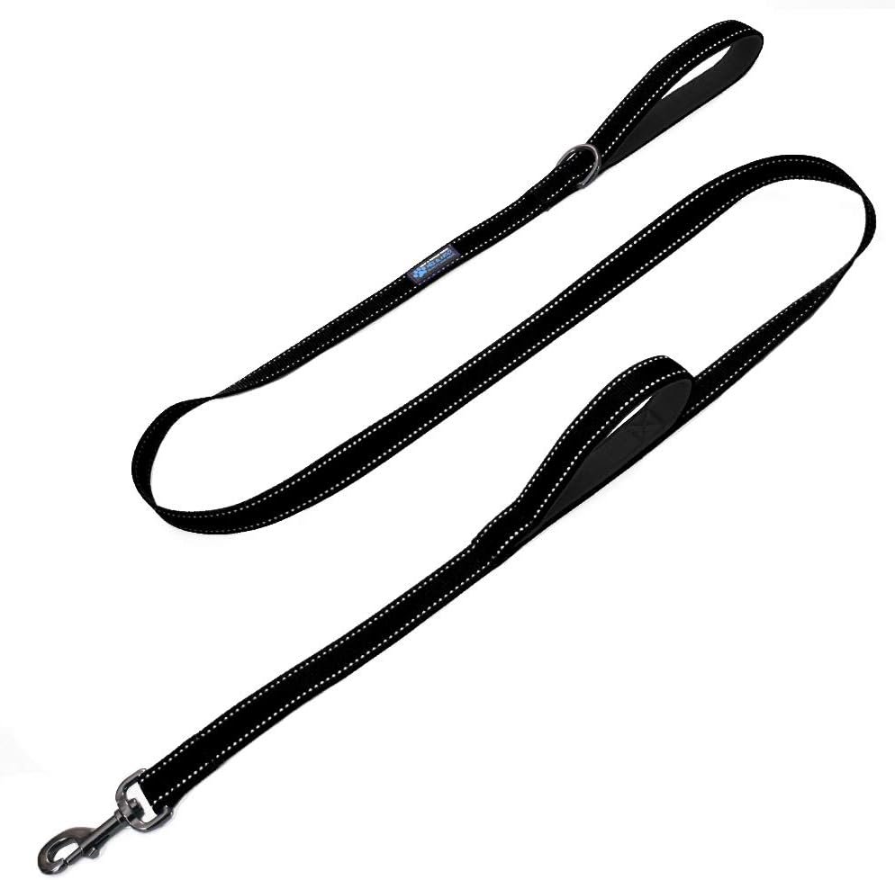 Best dog leash for everyday walking and control with padded handle - Max and Neo double handle dog leash for everyday walks