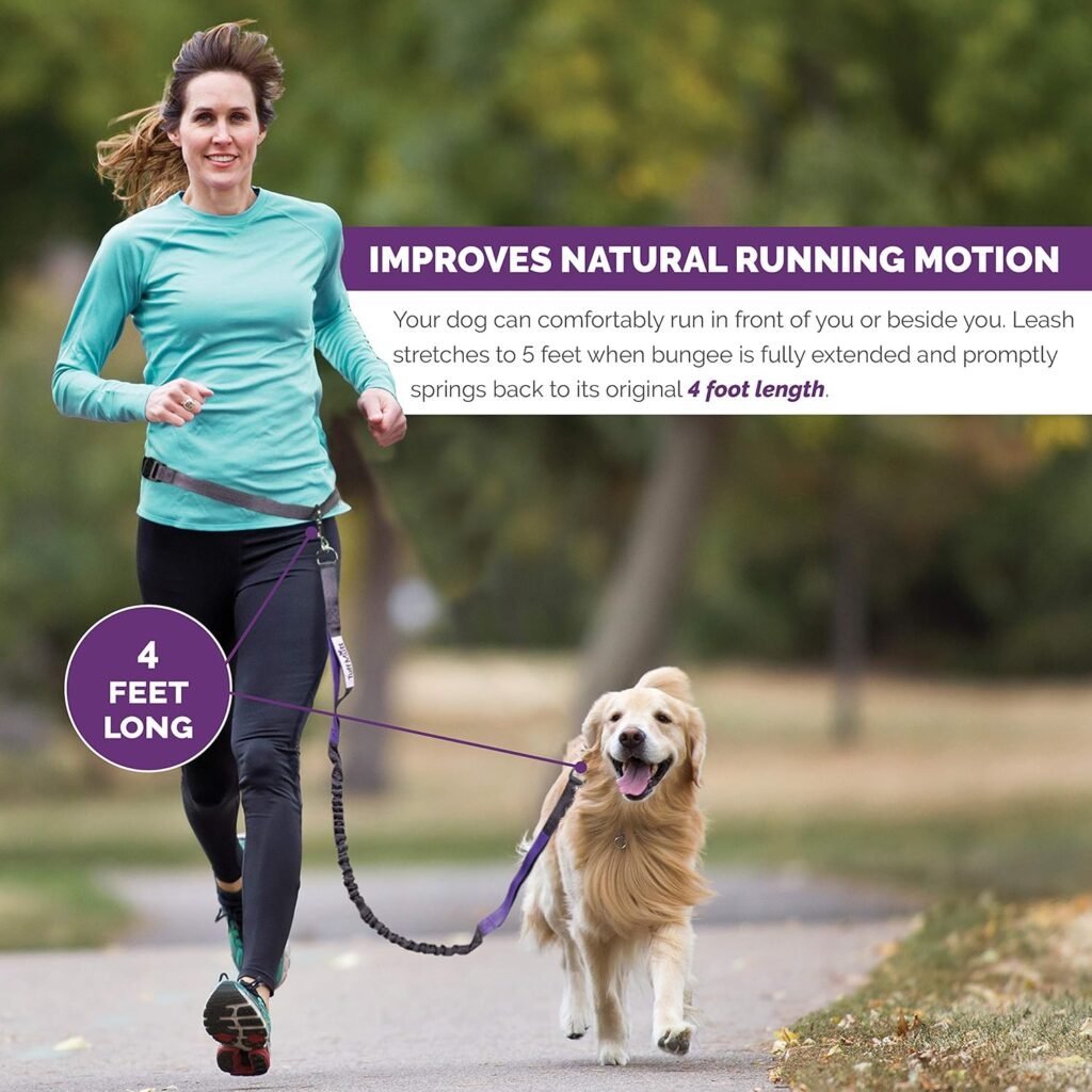 Hands-free dog leash in use while jogging, showing shock-absorbing bungee and waist-mounted belt for active dog parents