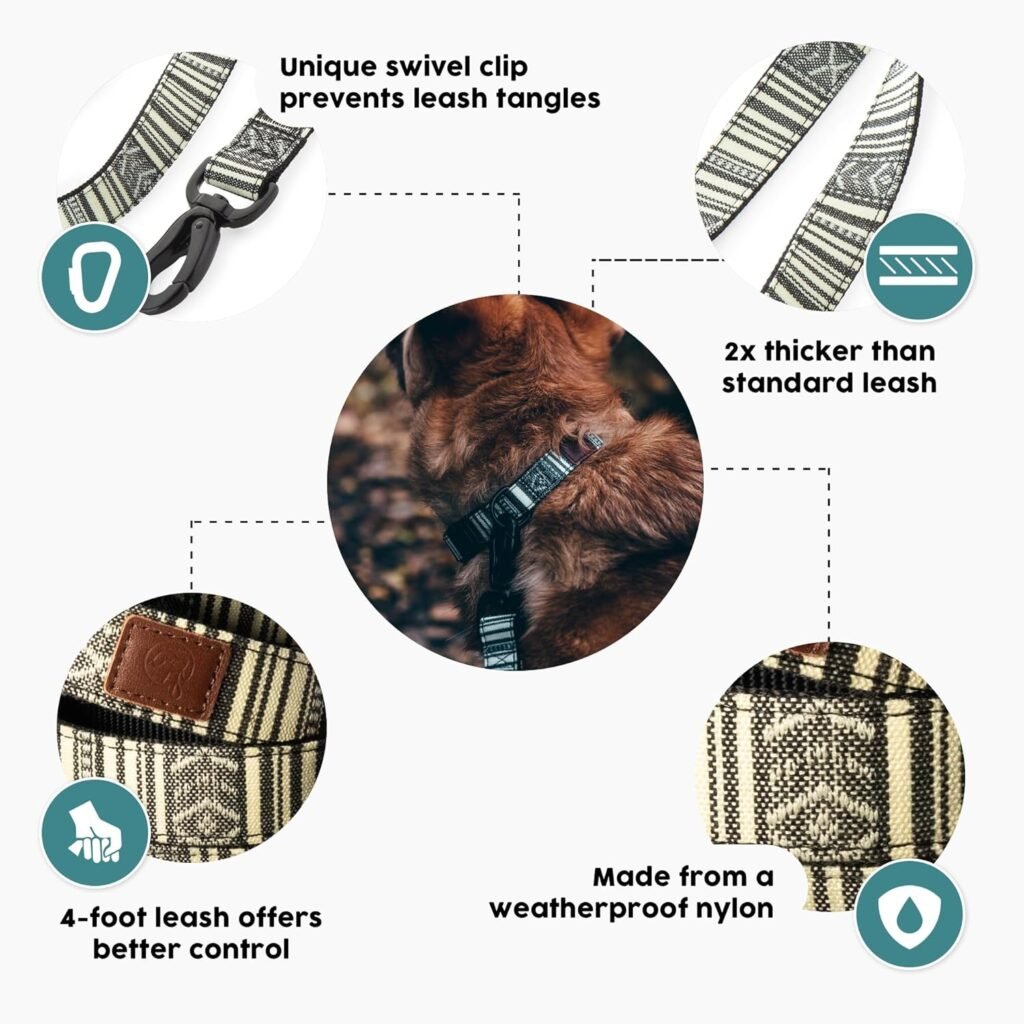 Embark Adventure dog leash features including swivel clip, thick nylon, and weather-resistant materials