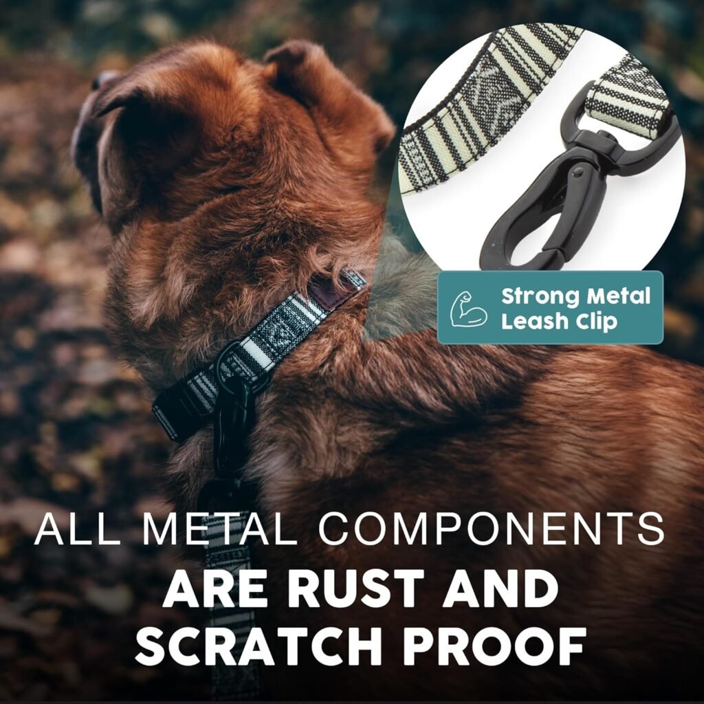 Dog wearing the Embark Adventure nylon leash during an outdoor walk