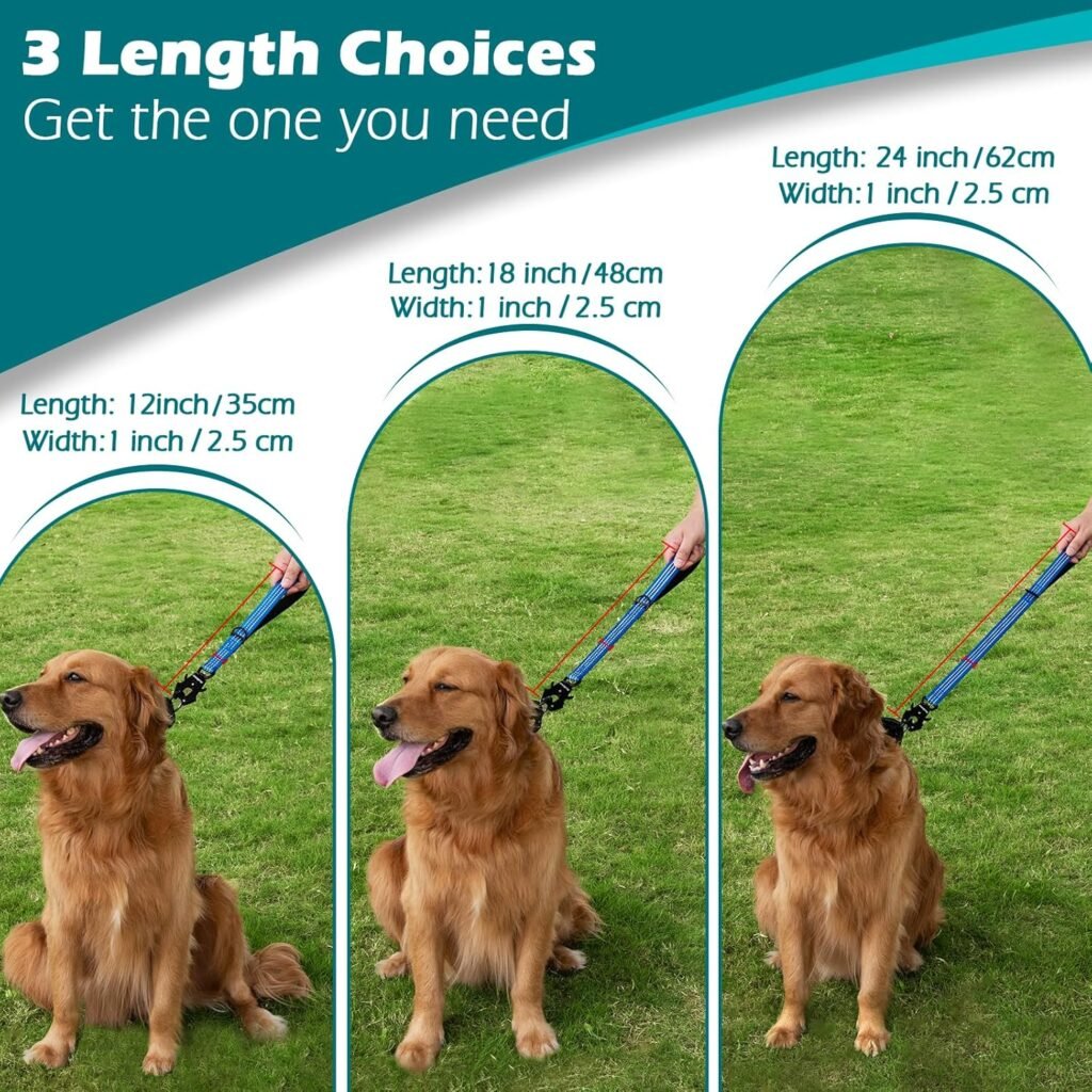 Dog leash length comparison showing 12 inch, 18 inch, and 24 inch options for training and close control