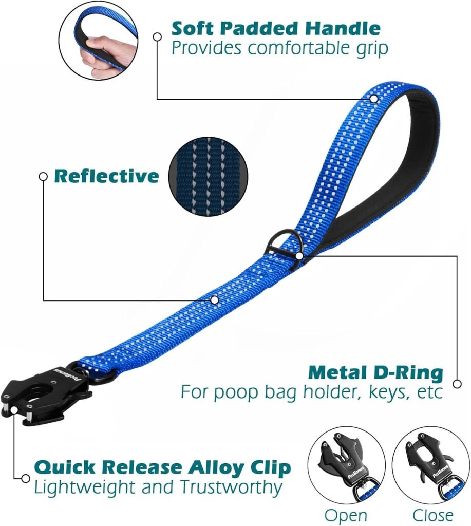 Short dog training leash with padded handle, reflective stitching, quick release metal clip, and built-in D-ring