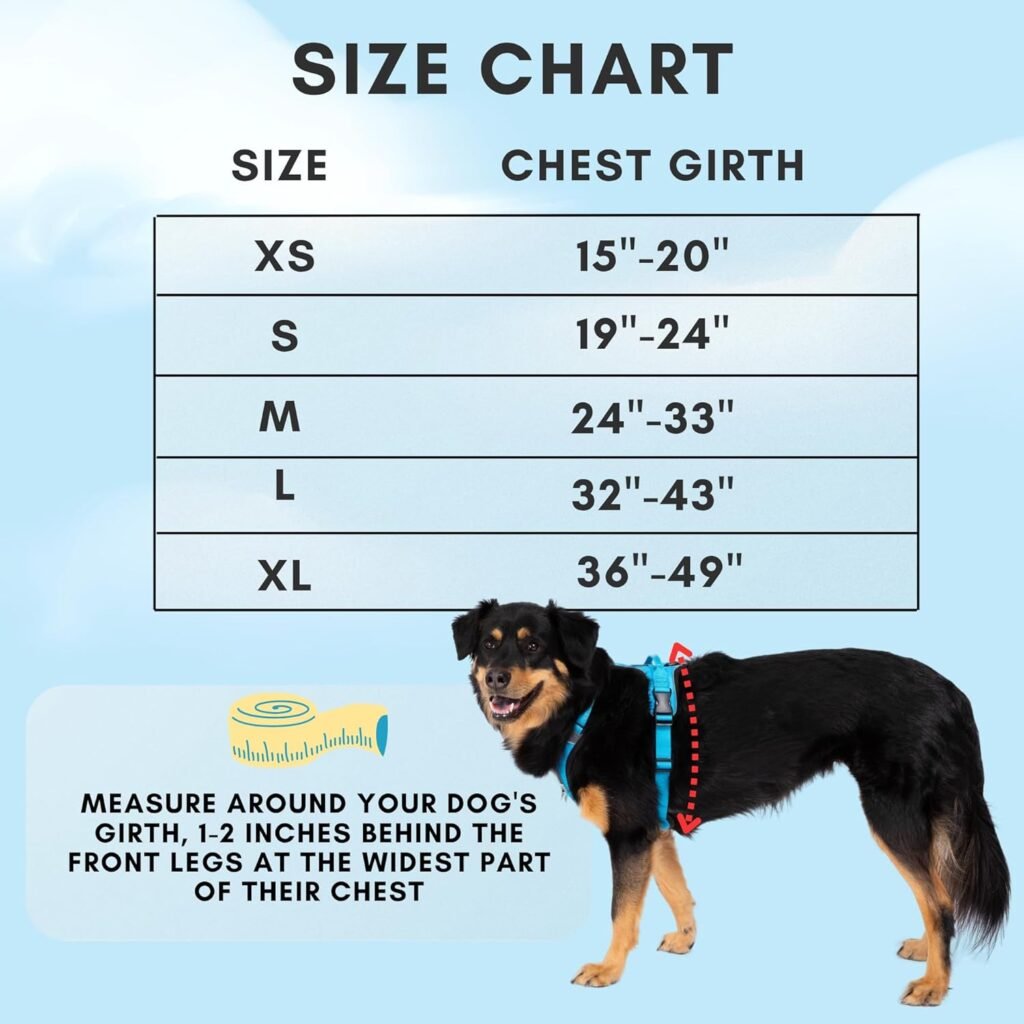 ShawnCo Basecamp dog harness size chart showing chest girth measurements