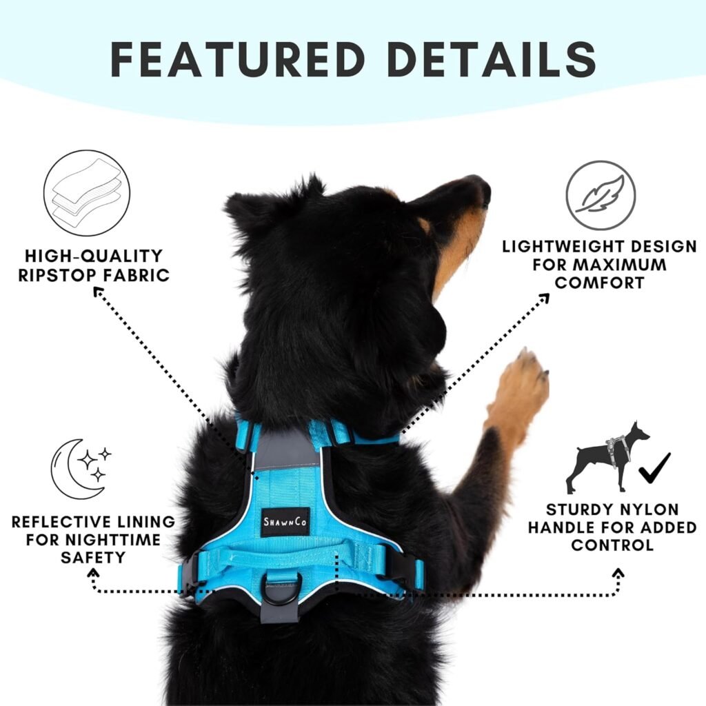 Back view of ShawnCo Basecamp dog harness with handle and reflective trim