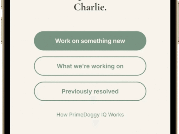 What Is an AI Dog Trainer? How AI Dog Training Actually Works